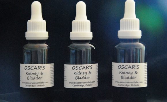 Oscar's Kidney & Bladder Fix Herbal Tincture
