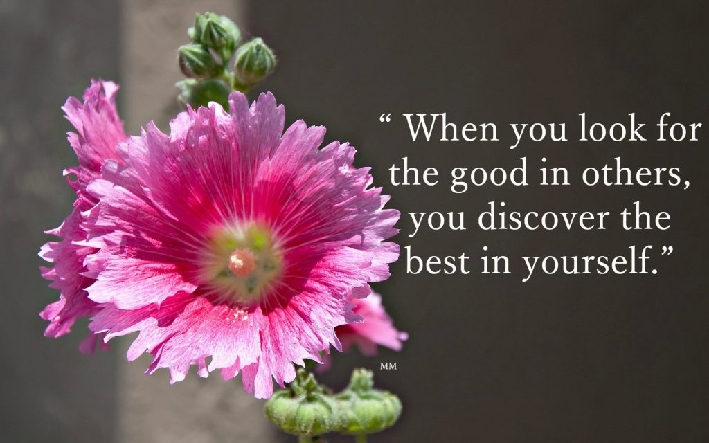 When you look for the good in others, you discover the best in yourself.