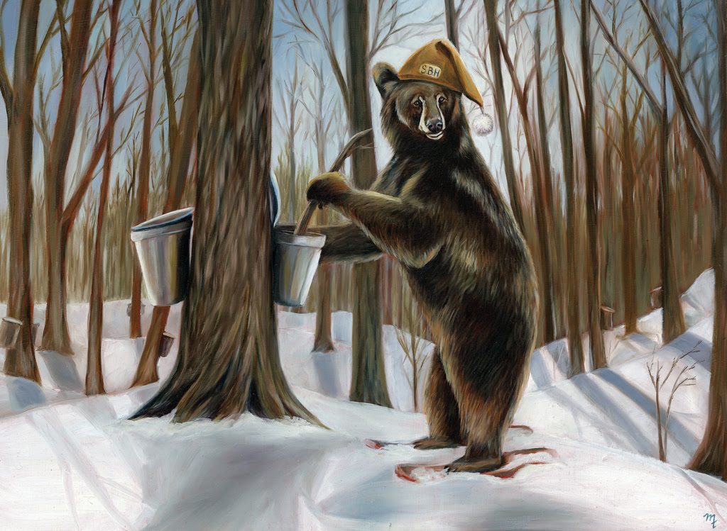 Bear doing Maple Syrup
