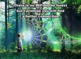 There is no WiFi in the forest, but I promise you will find a better connection.