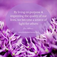 By living on purpose & improving the quality of our lives, we become a source of light for others