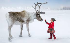 Girl and Reindeer